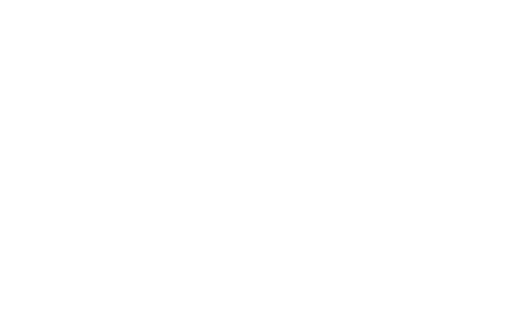 Logo Rodape
